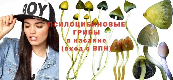 прущая мука Краснослободск